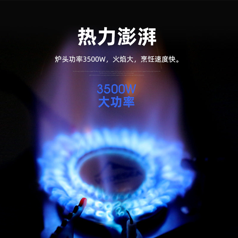 Widesea Portable Folding Camping Stove for Outdoors